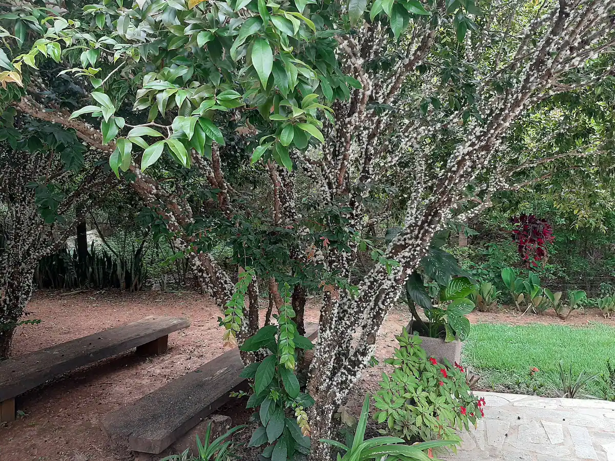 Casa em Caldas Novas Goiás