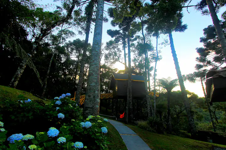 Casa na árvore em Monte Verde