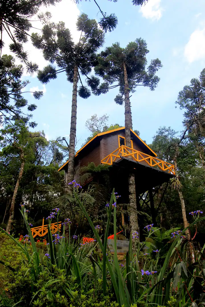 Casa na árvore em Monte Verde